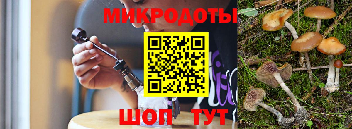 Псилоцибиновые грибы прущие грибы  Вход с VPN  Сокол 